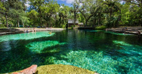 Florida’s Most Easily Accessible Freshwater Spring Is Hiding In Plain Sight At This State Park