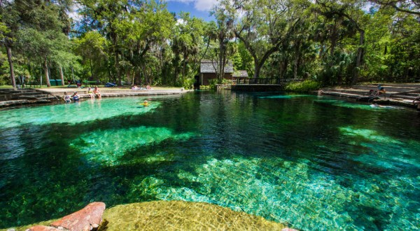 Florida’s Most Easily Accessible Freshwater Spring Is Hiding In Plain Sight At This State Park