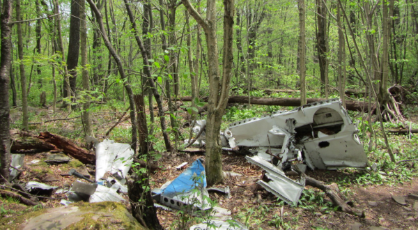 The Incredible Hike In New York That Will Lead You To An Abandoned Plane Crash