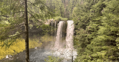 The Marvelous 2.9-Mile Trail In Oregon Leads Adventurers To A Little-Known Waterfall
