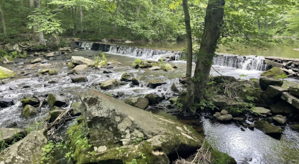 The Marvelous 4.2-Mile Trail In Pennsylvania Leads Adventurers To A Little-Known Waterfall