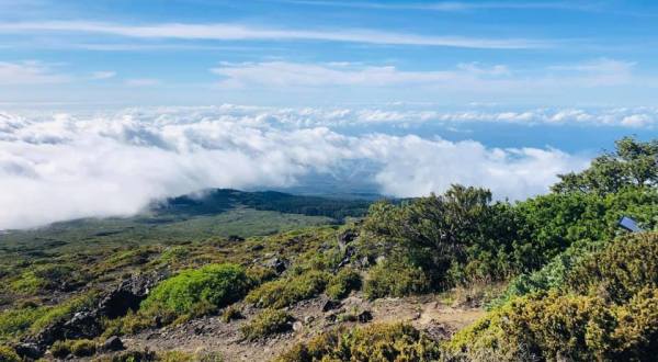 Explore The Best Of Upcountry Maui On This Hawaii Day Trip That Leads To A National Park, Farms, And A Winery