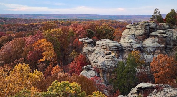 This Illinois National Forest Could Be Home To The Next National Park