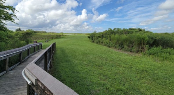 The Marvelous 2.9-Mile Trail In Florida Leads Adventurers To A Little-Known Overlook