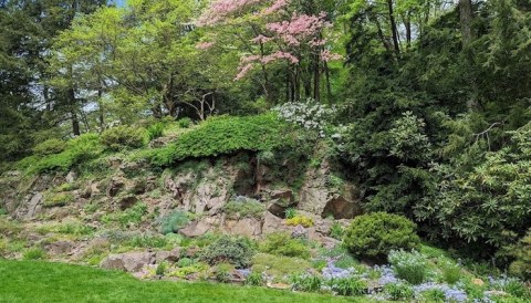 You'd Never Know One Of The Most Incredible Natural Wonders In New Jersey Is Hiding In This Tiny Park