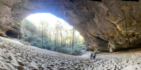 You'd Never Know One Of The Most Incredible Natural Wonders In Virginia Is Hiding In This Park