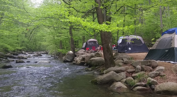 You Can Spend The Night At One Of The Most Beautiful Campgrounds In Virginia For Just 35 Bucks