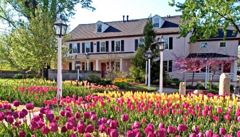 Best Hotels & Resorts In Delaware: 12 Amazing Places To Stay