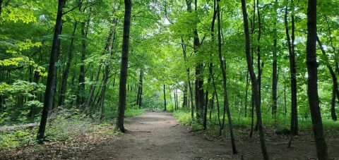 Discover A Little-Known Natural Wonder In Wisconsin On The 3.4-Mile Red Bird Trail
