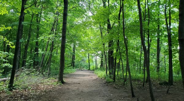 Discover A Little-Known Natural Wonder In Wisconsin On The 3.4-Mile Red Bird Trail