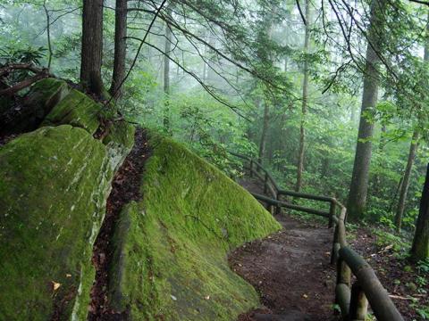The Whittleton Trail In Natural Bridge State Resort Park Is A Short-And-Sweet Streamside Hike In Kentucky