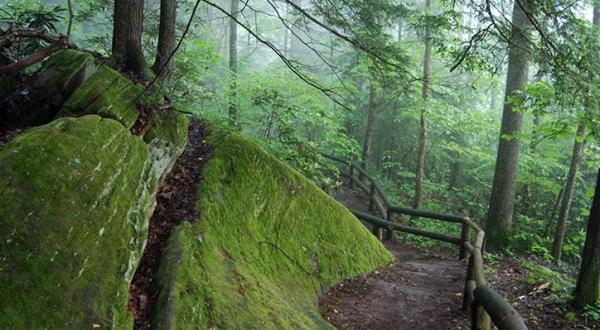 The Whittleton Trail In Natural Bridge State Resort Park Is A Short-And-Sweet Streamside Hike In Kentucky
