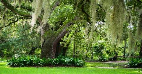 Few People Know About This Florida Arboretum & Botanical Garden
