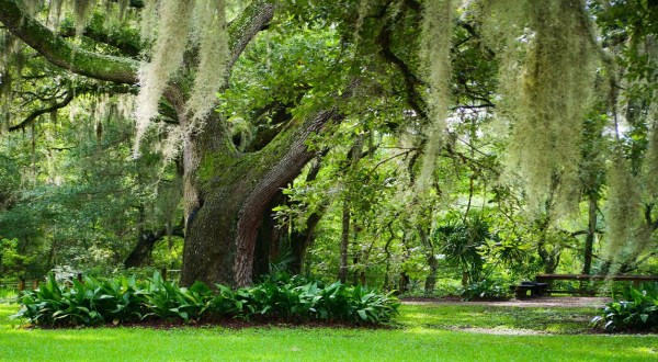 Few People Know About This Florida Arboretum & Botanical Garden