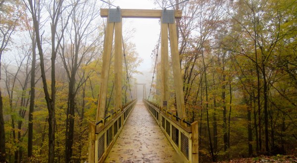 Walk Across A 275-Foot Suspension Bridge On Grand Ravines Loop In Michigan