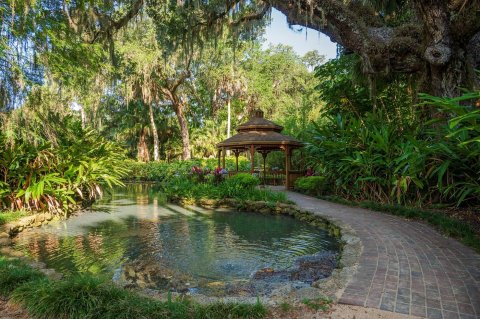 You'd Never Know One Of The Most Incredible Natural Wonders In Florida Is Hiding In This Tiny Park