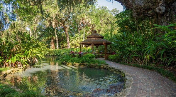 You’d Never Know One Of The Most Incredible Natural Wonders In Florida Is Hiding In This Tiny Park