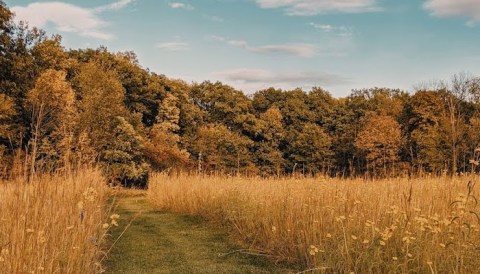 Few People Know About This Iowa Nature Preserve Filled With History