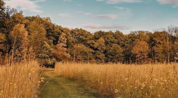Few People Know About This Iowa Nature Preserve Filled With History