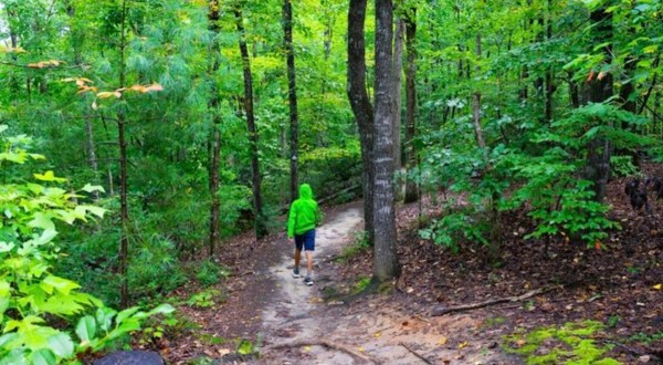 Discover A Little-Known Natural Wonder In South Carolina On The 1.5-Mile Natural Bridge Trail