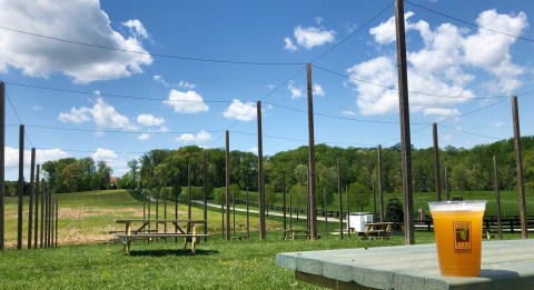 Enjoy A Farm-To-Glass Brewing Experience At This Unique Brewery In Maryland