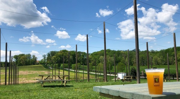 Enjoy A Farm-To-Glass Brewing Experience At This Unique Brewery In Maryland
