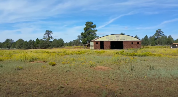 This Fascinating Arizona Airport Has Been Abandoned And Reclaimed By Nature For Decades Now
