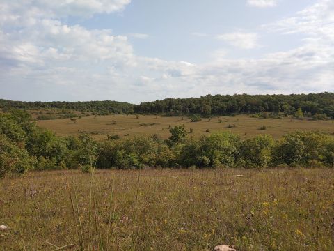 After A Day Of Hiking In Missouri’s Valley View Glades Natural Area, Check Into The Turkey Holler B&B To Relax