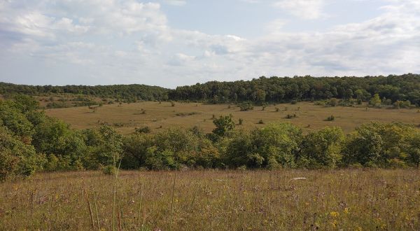 After A Day Of Hiking In Missouri’s Valley View Glades Natural Area, Check Into The Turkey Holler B&B To Relax