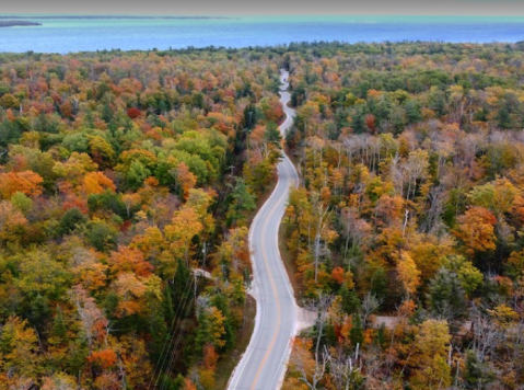 Door County's Costal Byway Features A Tunnel Of Trees In Wisconsin And It's Positively Magical