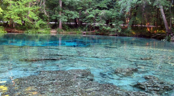Discover A Little-Known Natural Wonder In Florida On The 3.3-Mile Ginnie Springs Trail