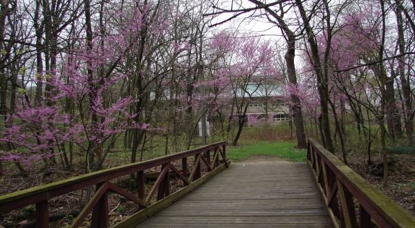 There Are More Birds Than There Are Miles Along This Beautiful Hiking Trail In Illinois