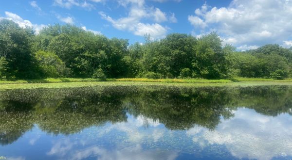 The Hike To This Gorgeous Rhode Island Pond Is Everything You Could Imagine