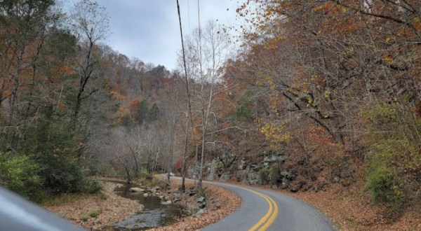 This Scenic Drive Runs Straight Through West Virginia’s Panther State Forest, And It’s A Breathtaking Journey