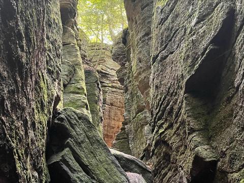 You'd Never Know One Of The Most Incredible Natural Wonders In New York Is Hiding In This Tiny Park