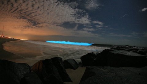 You Can See The Ocean Glow At This New Jersey Beach Home To Bioluminescent Plankton