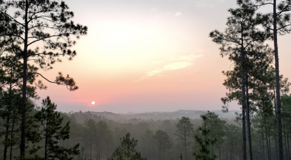 After A Day Of Hiking In Louisiana’s Kisatchie National Forest, Check Into The Rustic Sky Horse Camp To Relax