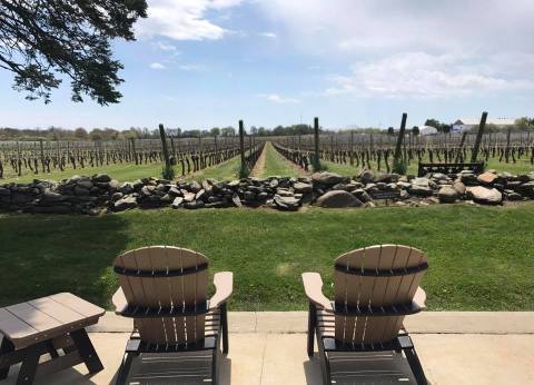 The Rhode Island Wine Tour You’ll Absolutely Love