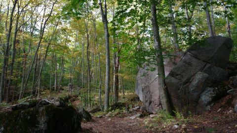 There Are More Rock Formations Than There Are Miles Along This Beautiful Hiking Trail In Rhode Island