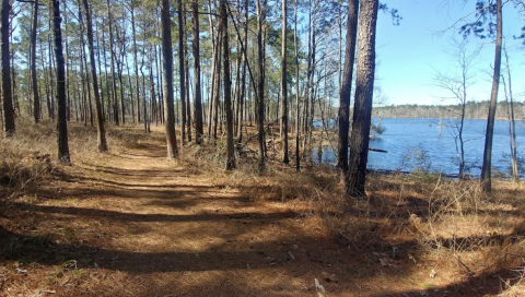 The Indian Creek Reservoir Loop Trail In Louisiana Is A Perfectly Scenic And Relaxing Trail