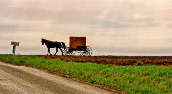 Few People Realize How Much Amish History Is Preserved In The Small Town Of New Wilmington, Pennsylvania