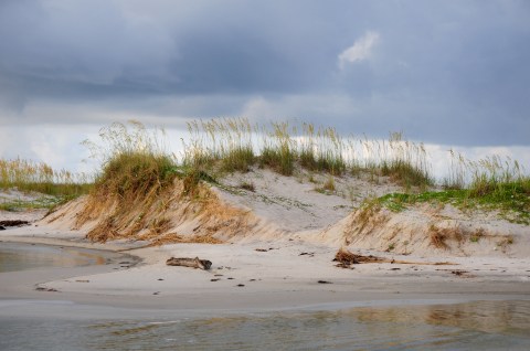 A Bit Of An Unexpected Natural Wonder, Few People Know There Are Sand Dunes Hiding In Alabama