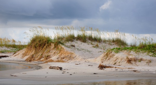 A Bit Of An Unexpected Natural Wonder, Few People Know There Are Sand Dunes Hiding In Alabama