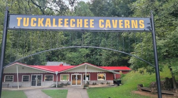 You Can Visit A Cave In Tennessee That Can Detect Activity From All Over Globe