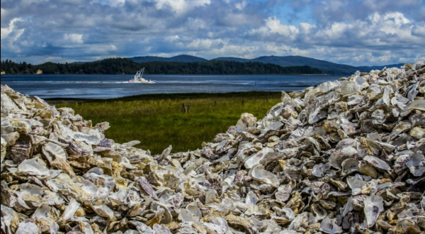 Few People Realize How Much History Is Preserved In The Small Town Of Oysterville, Washington