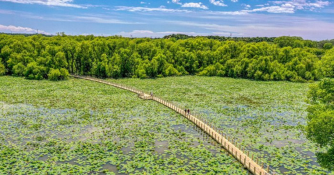 The Longest Floating Boardwalk In The U.S. Is Here In Texas And It's An Unforgettable Adventure