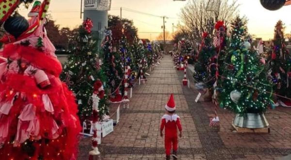 The Prancer Path Christmas Tree Trail In Mississippi Is Like Walking In A Winter Wonderland