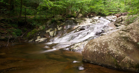 Here Are 12 Virginia Swimming Holes That Are Ideal For Hot Summer Days