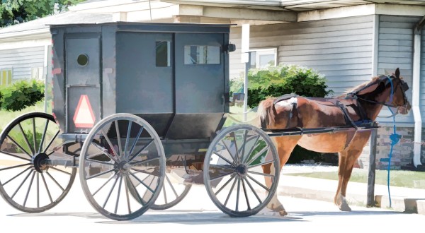 The Tiny Amish Town In Illinois That’s The Perfect Day Trip Destination