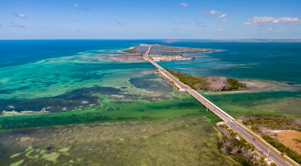 You Can Swim With Tropical Fish At This Florida Barrier Reef, The Only Living One In The U.S.